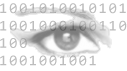 Research Publications - Vision Research Lab, UCSB